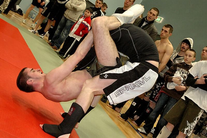 resources of Jiu jitsu. BJJ exporters