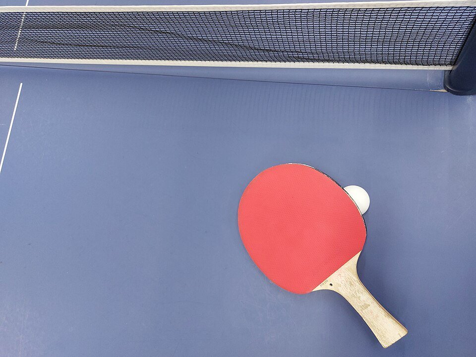 Table Tennis Net Exporters, Wholesaler & Manufacturer | Globaltradeplaza.com