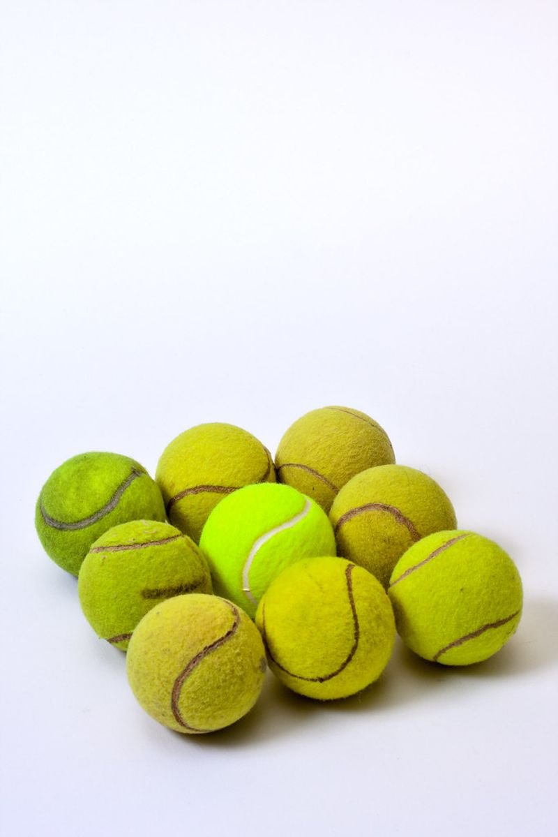 resources of Red Tennis Ball 6pcs QSICO exporters