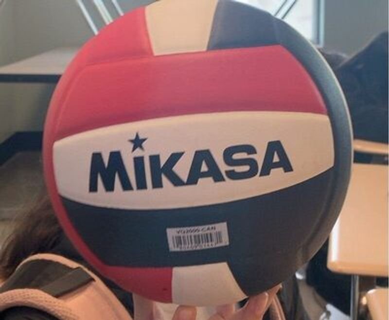 resources of Micro Fiber, PU, PVC Volleyball exporters