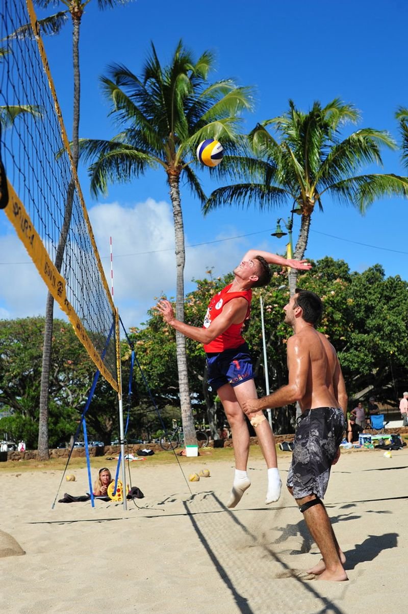 resources of Volleyball Net G-212 exporters