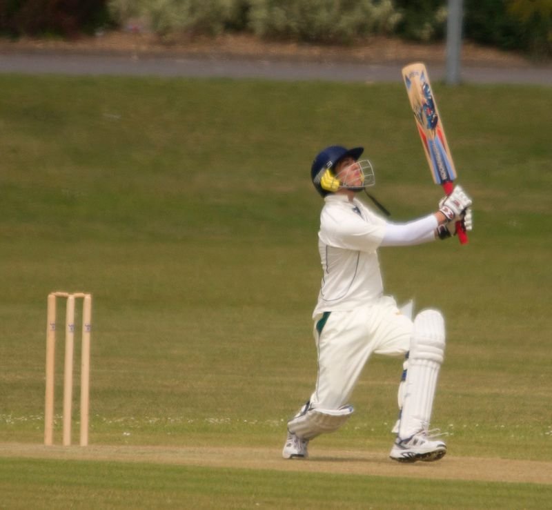 resources of Cricket farm exporters resources of Cricket farm exporters