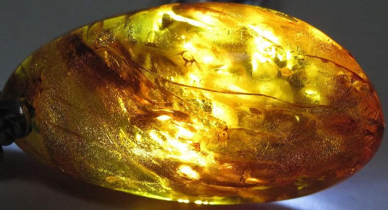 resources of golden apple exporters