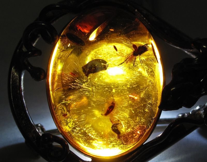 resources of Real insect amber necklace exporters