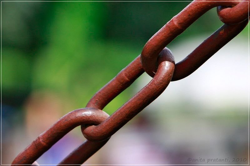 resources of Chains exporters