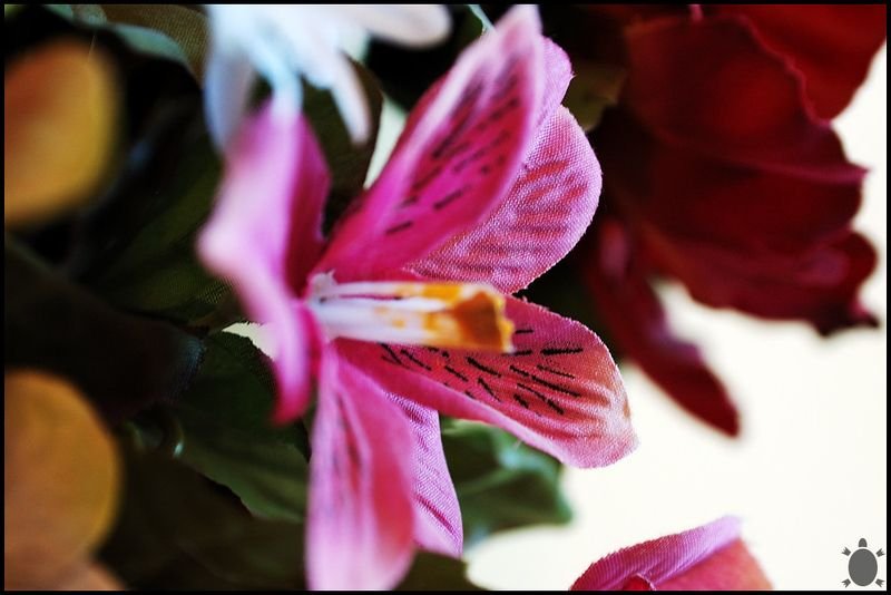 resources of Artificial Daily Greenery exporters