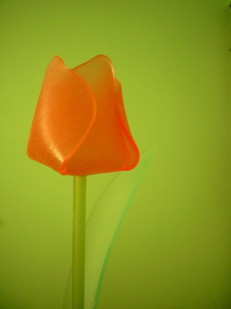 resources of Real Touch Artificial Poppy for Home exporters