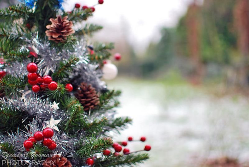 resources of Christmas Scene Adventist Calendar exporters