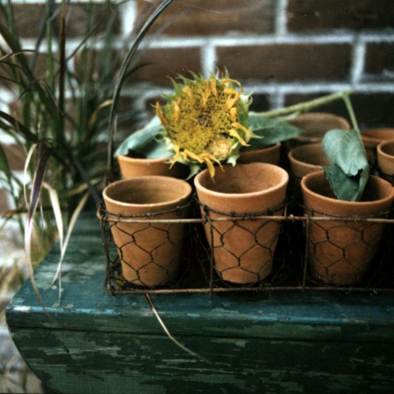 resources of Iron Art Flower Vase exporters