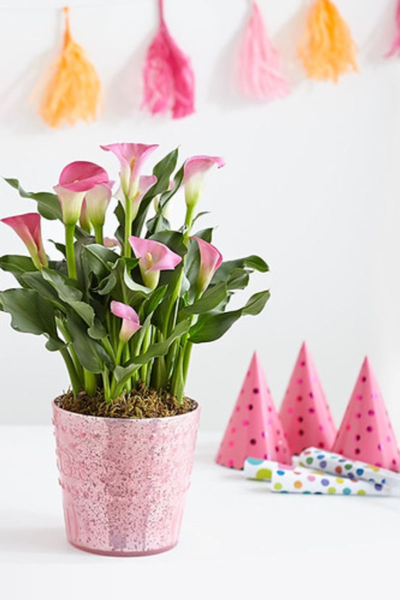 resources of Terrazzo Vases - Flower Planter exporters