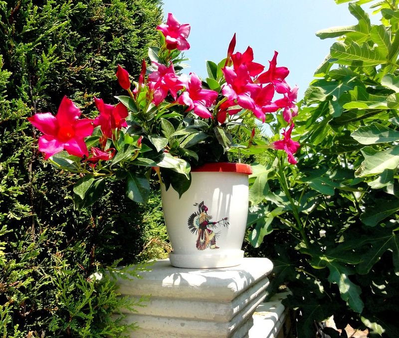 resources of Decorative Vase Of Handmade Meenakari exporters