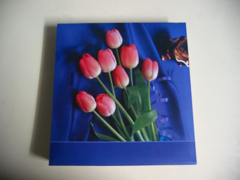 resources of Canvas  Paintings exporters