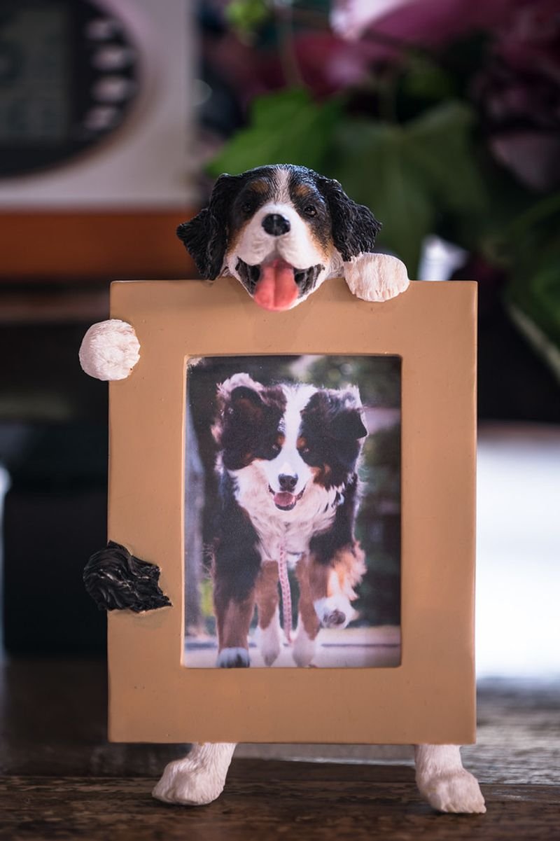 resources of Personalized Canvases exporters