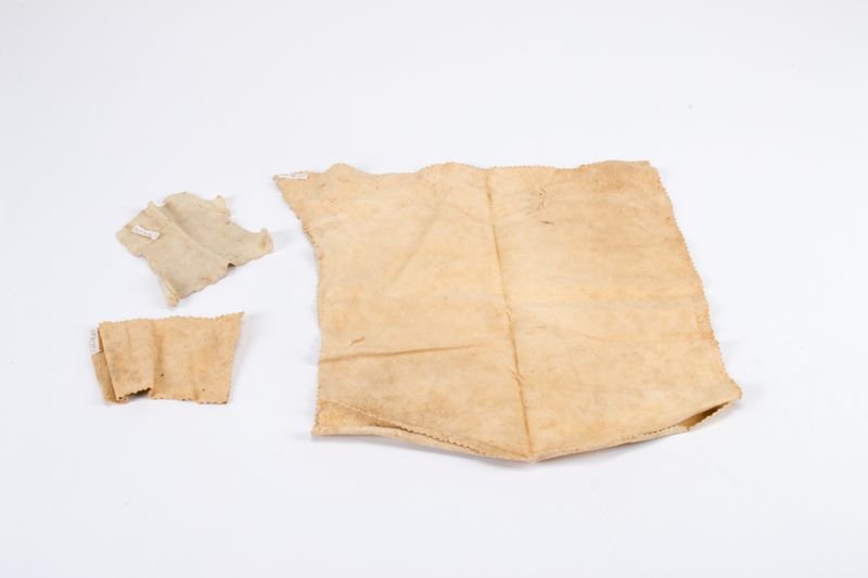 resources of Raw Wet Salted Leather exporters