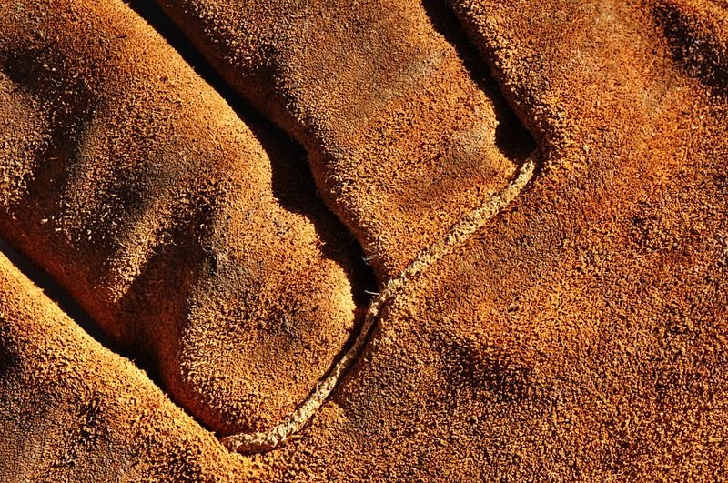 resources of Broken Cinnamon exporters