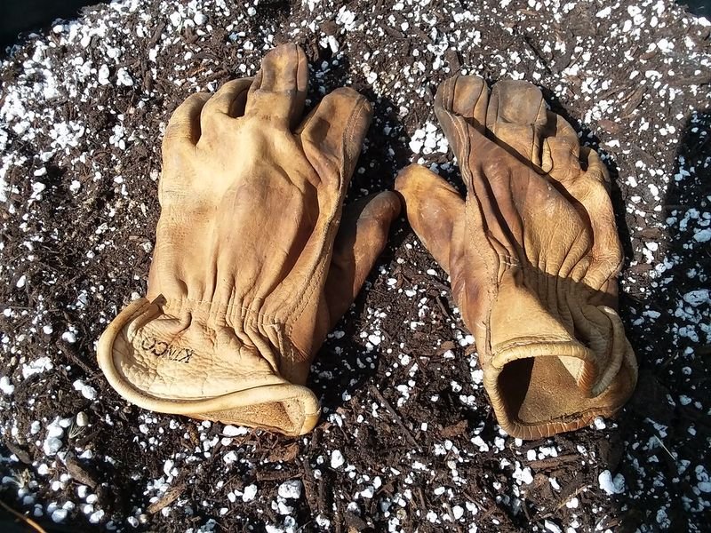 resources of High Quality Merino Sheepskin Mitten From China exporters