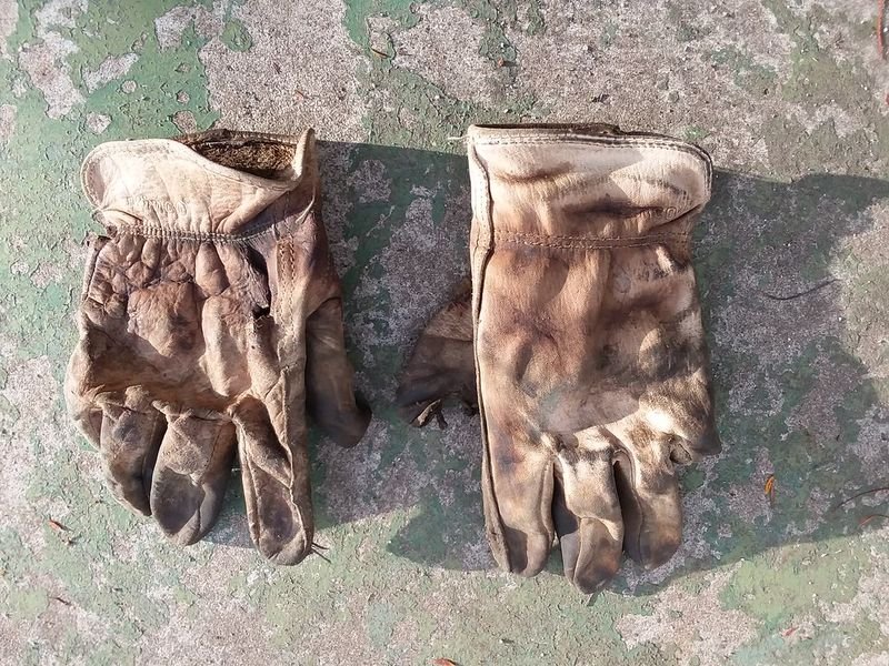 resources of Leather Gloves exporters