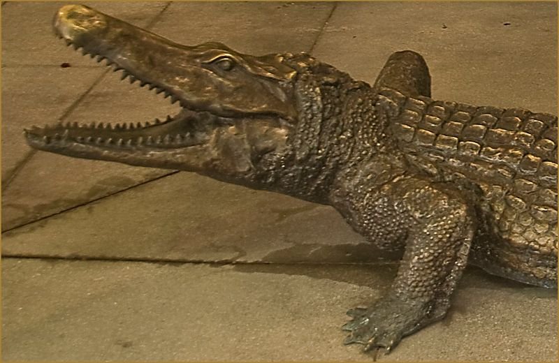resources of Dinosaur park life size animatronic diosaur sale exporters