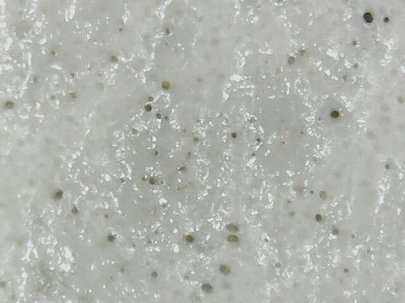 resources of (GRANITES & MARBLES)COTTON WHITE exporters