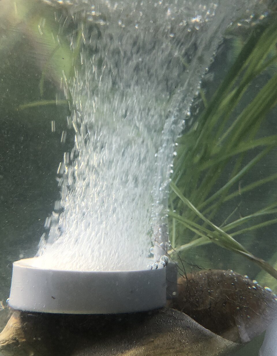 Aquariums & Equipments Exporters, Wholesaler & Manufacturer | Globaltradeplaza.com
