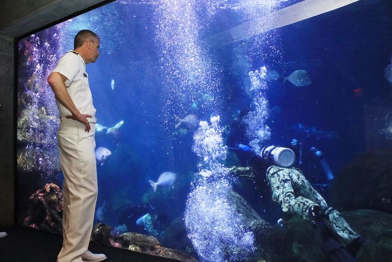 resources of Live tropical fish exporters