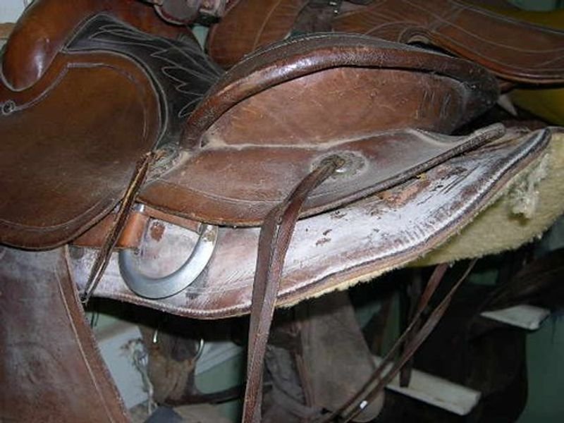 resources of Horse Saddles exporters