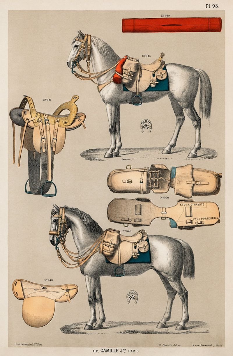 resources of Braided rolled leather bridle exporters