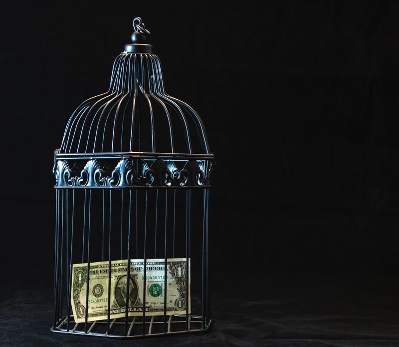 resources of Bird cage exporters