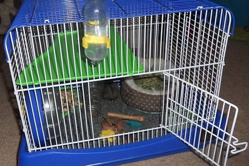 resources of 2014 newest full automatic transparent 144 quail exporters