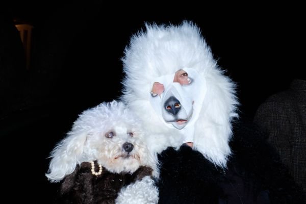 Pet Clothings Exporters, Wholesaler & Manufacturer | Globaltradeplaza.com