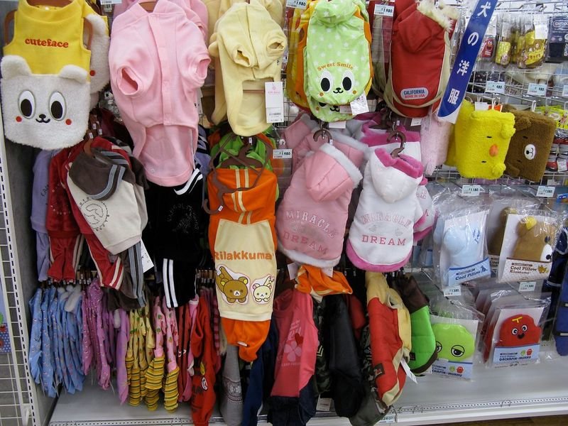 resources of Pet clothes exporters