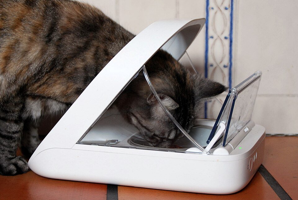 Pet Feeders Exporters, Wholesaler & Manufacturer | Globaltradeplaza.com