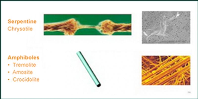 resources of Pet Granules Fiber Grade exporters