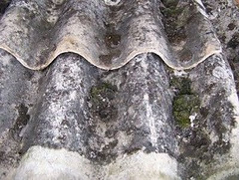 resources of Wet And Dry Salted Cow Hides exporters