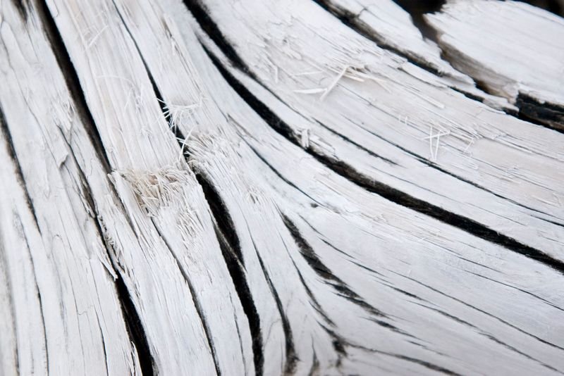 resources of Ancient wood grain marble slabs exporters