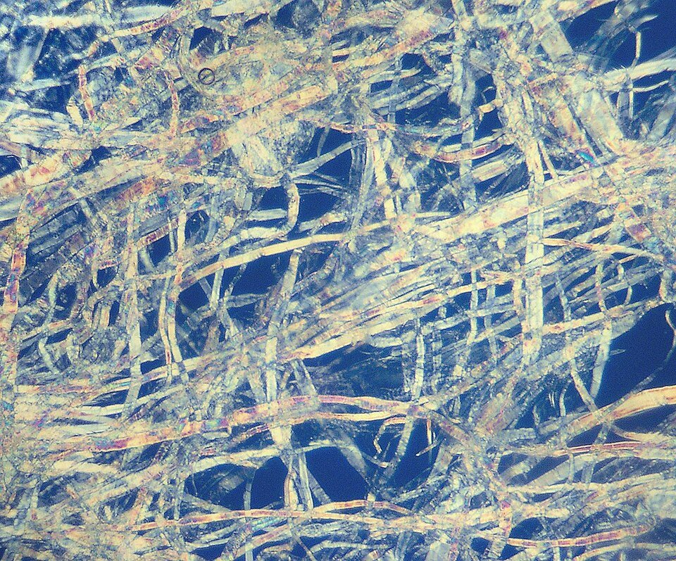 Cellulose Fiber Exporters, Wholesaler & Manufacturer | Globaltradeplaza.com