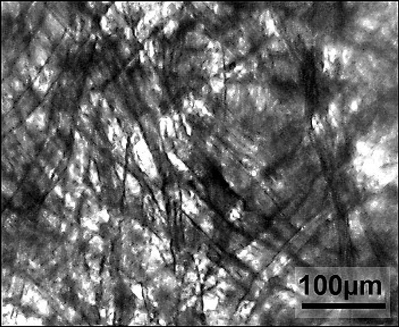 resources of Infrared hunting trail camer exporters