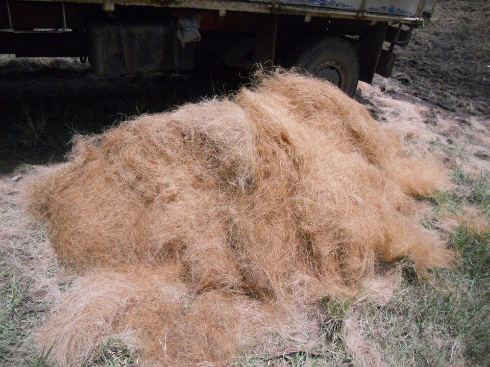Coir Fiber Exporters, Wholesaler & Manufacturer | Globaltradeplaza.com