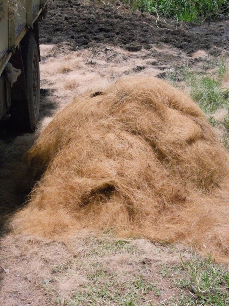 resources of Coir Fiber Roll exporters