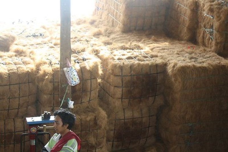 resources of Coir Fiber Pot exporters