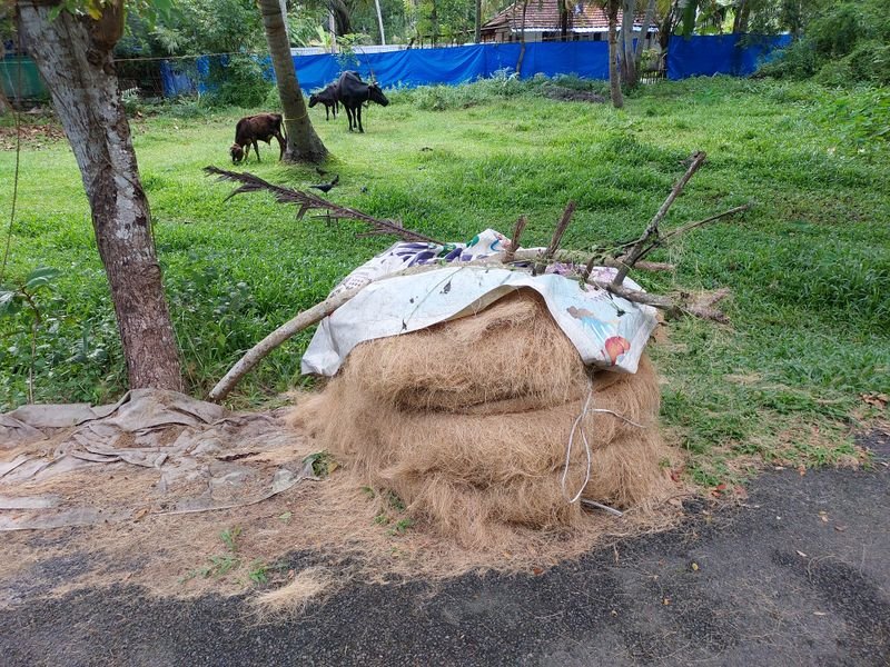 resources of Eco friendly Flower Plant Coir Fiber Pot exporters