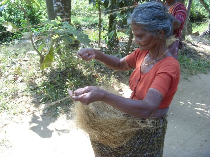 resources of Coir Fiber Pillow exporters