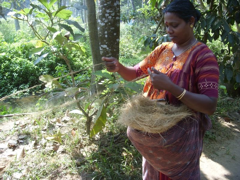 resources of Coir Fiber Compressed Block exporters