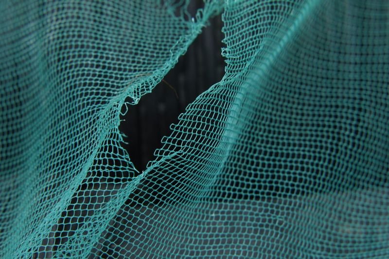 resources of Super Fine Radio Weave Cane Webbing exporters