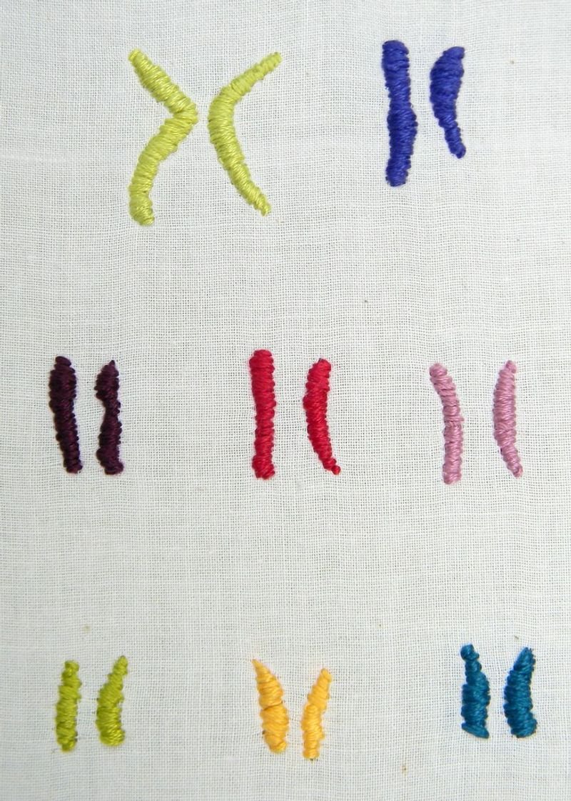 resources of Textile handicrafts exporters