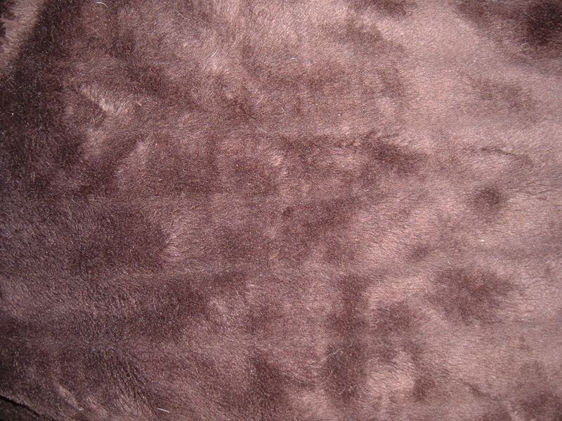 resources of 100%polyester coral fleece print fabric exporters