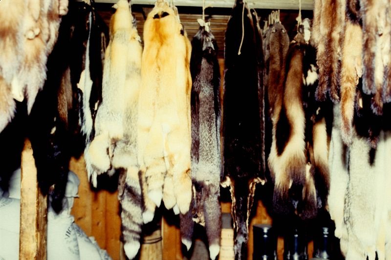 resources of Rabbit Fur Coat exporters