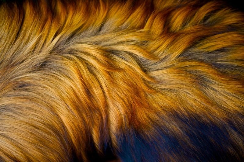 resources of Leather&fur garments exporters