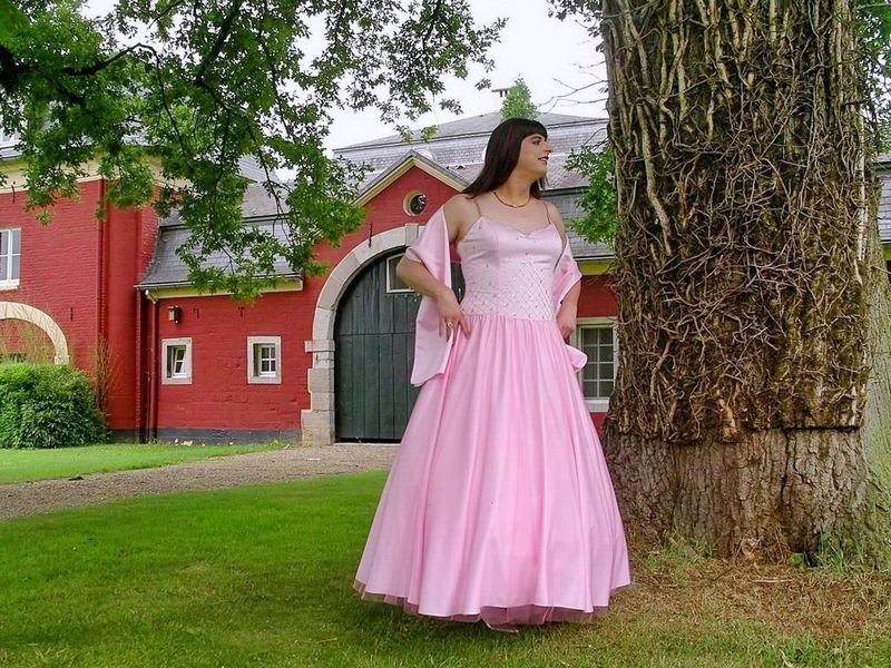 resources of Timeless Elegance Gown exporters