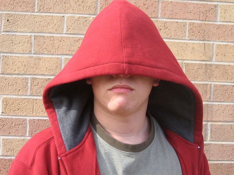 resources of Men Softshell Hooded Windbreaker Jackets exporters